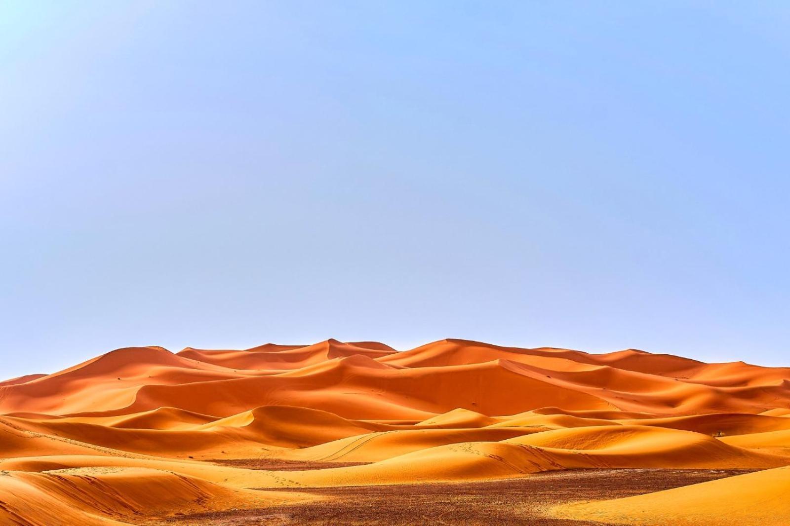Young Luxury Camp Merzouga Esterno foto