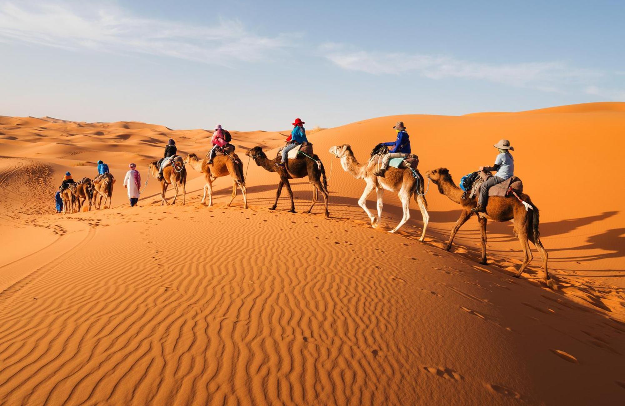 Young Luxury Camp Merzouga Esterno foto